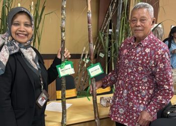 Butuh Waktu 13 Tahun, Profesor Pertanian UMG Akhirnya Lahirkan Dua Klon Tebu Unggul 