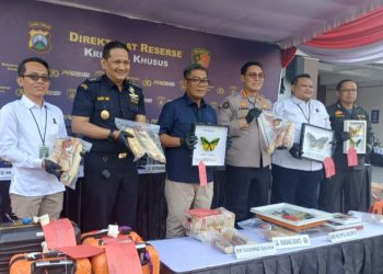 Ditreskrimsus Polda Jatim, Bongkar Perdagangan Ilegal Satwa Dilindungi Jaringan Internasional