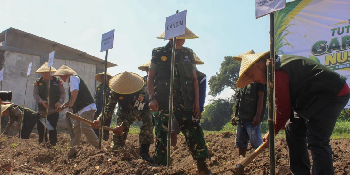 Kediri Jadi Sentra Benih Tebu Panjalu, Kementan Optimistis Perkuat Produksi Gula Nasional