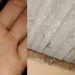 Teror Peluru Nyasar Berulang di Alastlogo Pasuruan, BEM Pasuruan Raya Desak Evaluasi Total dan Ancam Turun ke Jalan