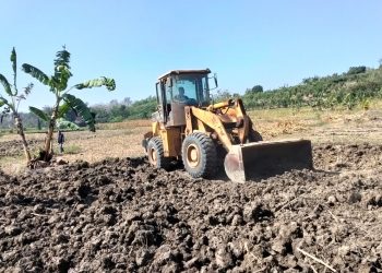 Pemerataan Lahan di Sambongrejo Tuban: Solusi Cerdas Atasi Kendala Tadah Hujan dan Dongkrak Produktivitas