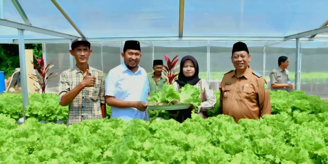 Pemkab Sumenep Dorong Pertanian Hidroponik, Bupati Fauzi: Lahan Sempit Tetap Bisa Hasilkan Nilai Ekonomi