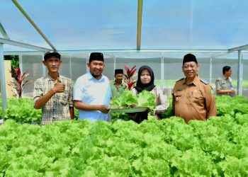 Pemkab Sumenep Dorong Pertanian Hidroponik, Bupati Fauzi: Lahan Sempit Tetap Bisa Hasilkan Nilai Ekonomi