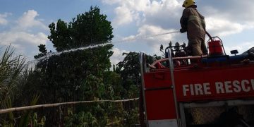 Sempat Diingatkan Warga, Petani di Kediri Ditemukan Meninggal saat Lahan Tebu Terbakar