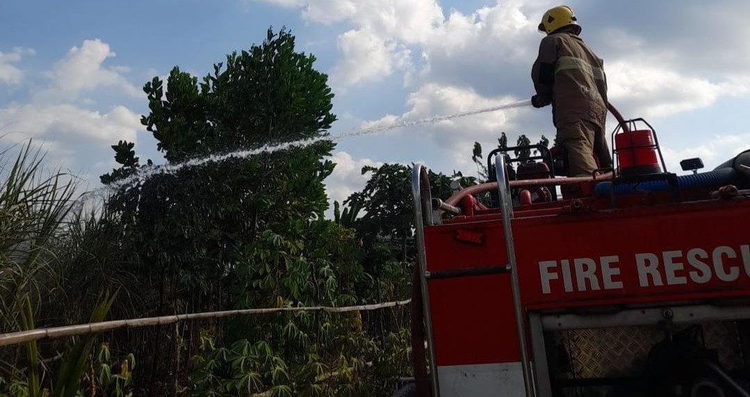 Sempat Diingatkan Warga, Petani di Kediri Ditemukan Meninggal saat Lahan Tebu Terbakar