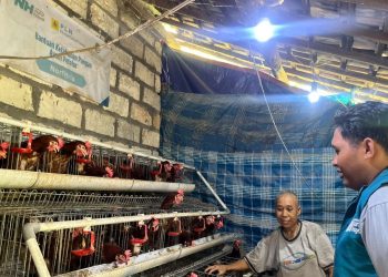 Lazis PT PLN Nusantara Power bersama Laznas Nurul Hayat Gresik Perkuat Program Ketahanan Pangan untuk Guru Ngaji