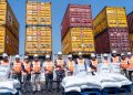 Bea Cukai Jatim Temukan Ratusan Ton Beras dan Garam Impor yang Diberitahukan sebagai Ammonium Chloride