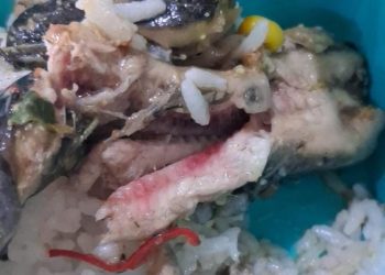 Ayam Berlendir, Lele Diduga Belum Matang, Sejumlah Penerima MBG di Badas Kediri Mengeluh Sakit