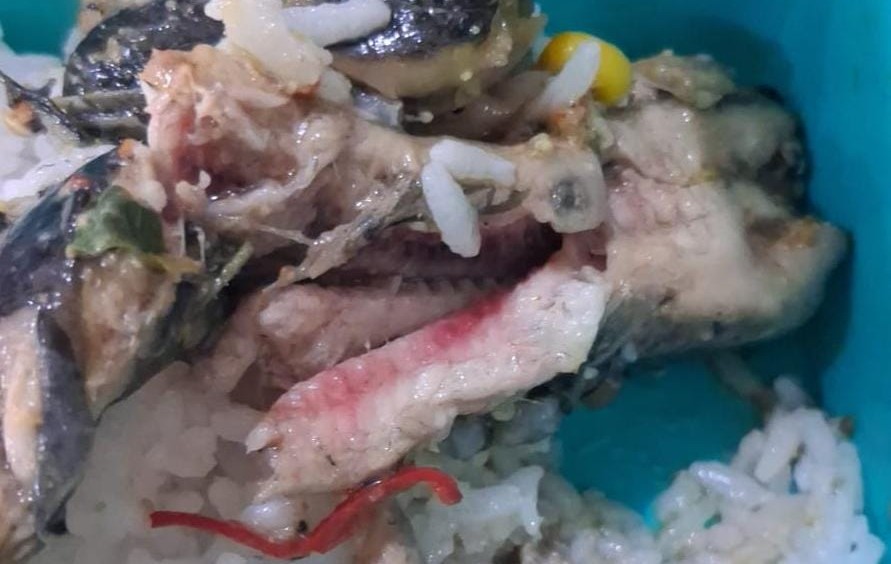 Ayam Berlendir, Lele Diduga Belum Matang, Sejumlah Penerima MBG di Badas Kediri Mengeluh Sakit