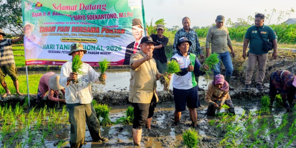 Hari Tani Nasional, BHS Tanam Padi dan Dukung Petani Panen Tiga Kali Setahun