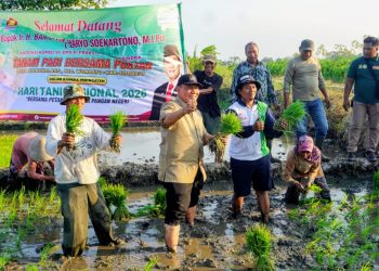 Hari Tani Nasional, BHS Tanam Padi dan Dukung Petani Panen Tiga Kali Setahun