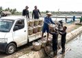 Ikan Bandeng Masih Mendominasi Produktivitas Perikanan Sidoarjo, Tembus 100 Ton Lebih
