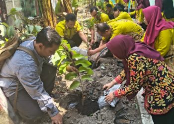 Program ‘GERAK MELATI’ di SMP Negeri 4 Waru Fokus Pada Budidaya Melon Hidroponik dan Biopori