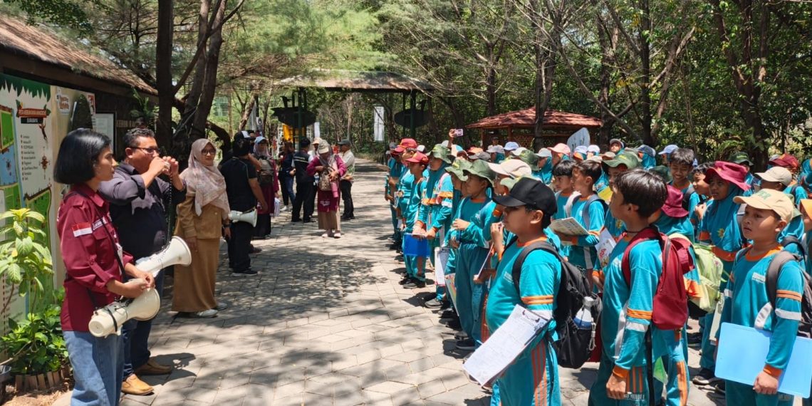 Field Trip SD Muhammadiyah 1 Driyorejo ke Ekowisata Mangrove Gununganyar, Kenalkan Siswa pada Pentingnya Menjaga Ekosistem Laut