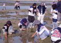 Siswa SD SAIM Eksplorasi Biota Laut di Pantai Putri Klayar