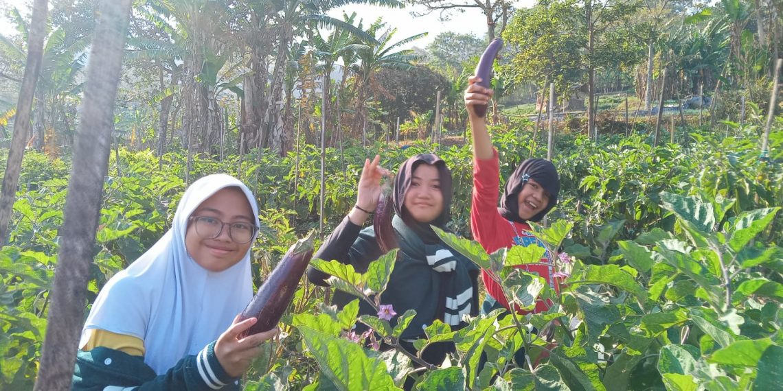 Menginap di Desa, Siswa SD SAIM Berlatih Mandiri dan Bermasyarakat
